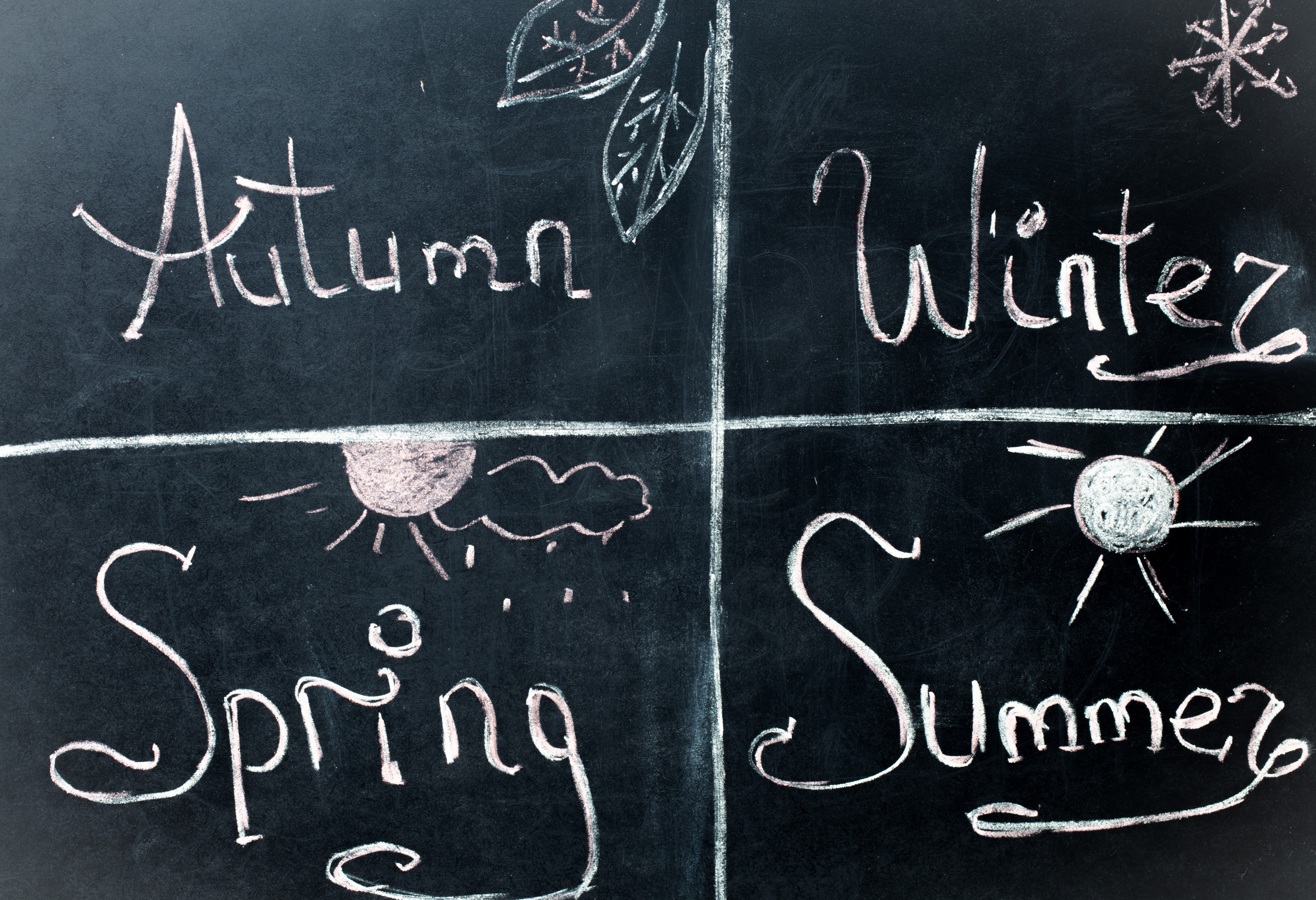 A blackboard split into four quarters labelled Autumn, Winter, Spring and Summer, each with a hand-drawn seasonal icon, representing Meta ads seasonal planning for GCC brands across the year