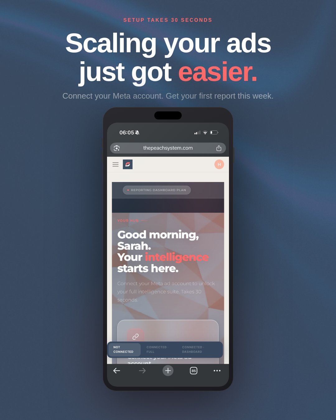 The Peach System on mobile